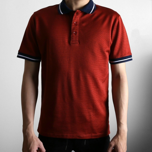 Áo Thun Nam Cổ Bẻ Cotton CK02